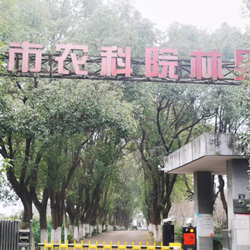 樹(shù)木修剪，受武漢農(nóng)科林果所委托，樹(shù)